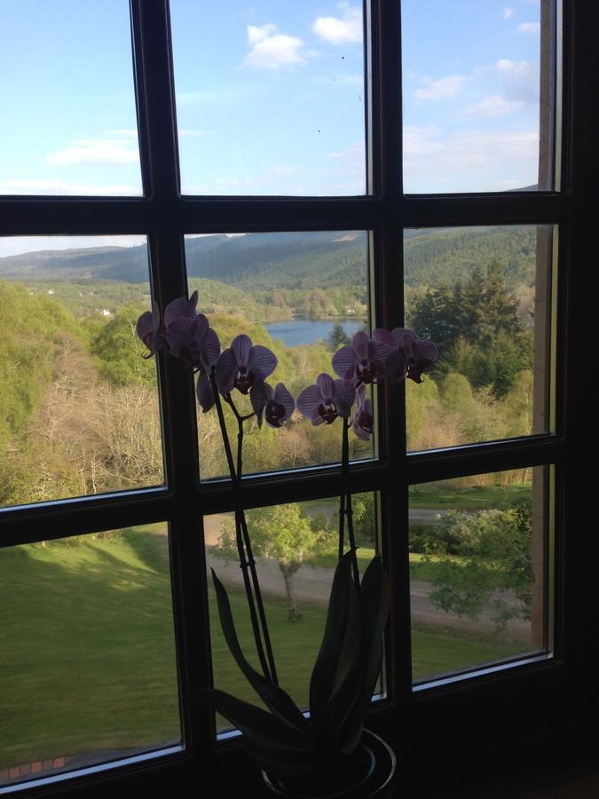 Highland Bear Lodge & Luxury Bear Huts Drumnadrochit Exteriér fotografie